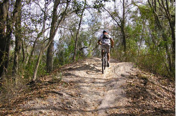 A person riding a mountain bike up a dirt hill in a wooded area, surrounded by trees and dry leaves. The biker is wearing a helmet and sports attire. Alafia River State Park mountain bike trail.