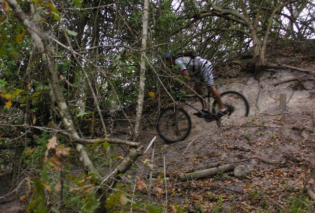 A mountain biker navigating a narrow, rocky trail surrounded by dense foliage and trees. The rider is descending a slope, demonstrating skill and balance as they maneuver through the natural terrain. Alafia River State Park mountain bike trail.