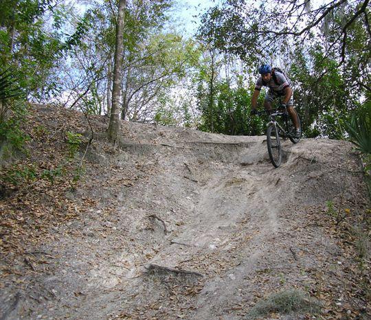A mountain biker descending a dirt slope in a wooded area, surrounded by trees and greenery. The biker is captured mid-air, showcasing a dynamic jump while riding a mountain bike on a rugged trail. The ground is covered with dry leaves and dirt, indicating a natural outdoor setting. Alafia River State Park mountain bike trail.