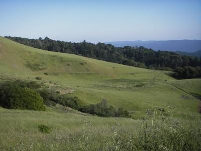 A serene landscape featuring rolling green hills, patches of trees, and a clear blue sky in the background. The scene conveys a peaceful natural setting, ideal for outdoor activities or relaxation. Russian Ridge mountain bike trail.