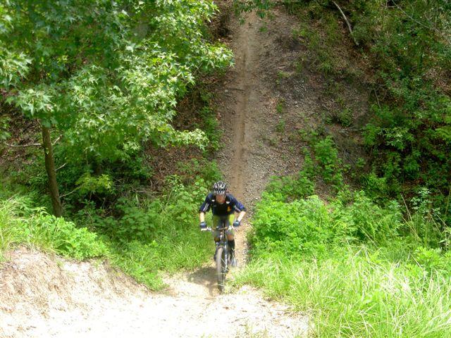 A mountain biker riding up a steep, dirt trail surrounded by lush green foliage and trees. The biker is wearing a helmet and biking gear, focused on the ascent. The trail slopes upward in the background, highlighting the rugged terrain. Alafia River State Park mountain bike trail.