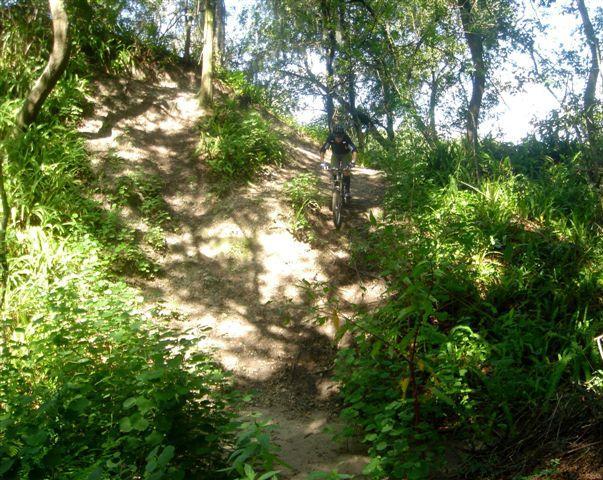 A mountain biker descending a dirt trail surrounded by lush greenery and trees. The sun filters through the leaves, creating dappled light on the path. Alafia River State Park mountain bike trail.