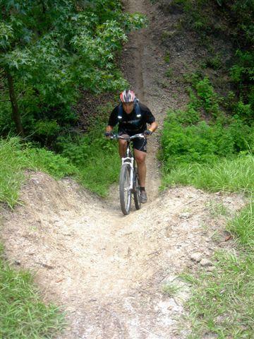 A mountain biker navigating a dirt trail with incline, surrounded by lush green foliage. The cyclist is focused and wearing a helmet for safety. Alafia River State Park mountain bike trail.