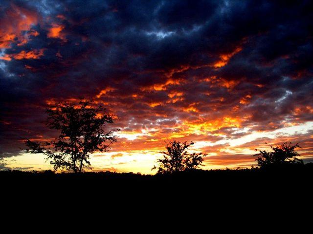 A vibrant sunset with dramatic orange and purple hues fills the sky, contrasting against dark silhouettes of trees in the foreground. The clouds are illuminated by the setting sun, creating a stunning natural landscape. Alafia River State Park mountain bike trail.