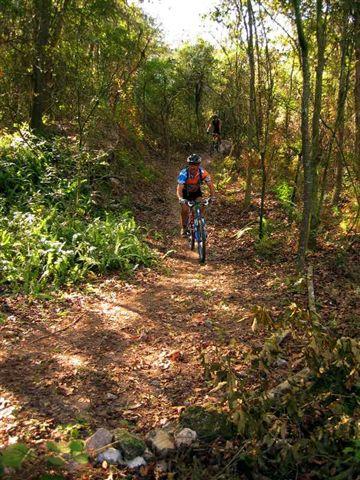 A mountain biker riding along a narrow dirt trail surrounded by trees and greenery in a wooded area. Another cyclist can be seen in the background. The ground is covered with fallen leaves and small rocks. Alafia River State Park mountain bike trail.