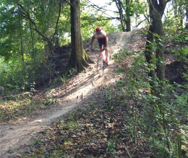 A mountain biker descending a dirt trail surrounded by trees and greenery, captured in motion. Alafia River State Park mountain bike trail.