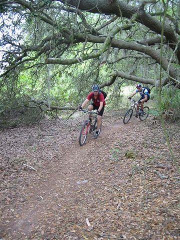 Two mountain bikers navigate a dirt trail surrounded by trees, with branches arching overhead. The ground is covered in fallen leaves, and lush greenery is visible in the background. One biker is in the foreground, wearing a red shirt and a helmet, while the other follows closely behind. Alafia River State Park mountain bike trail.