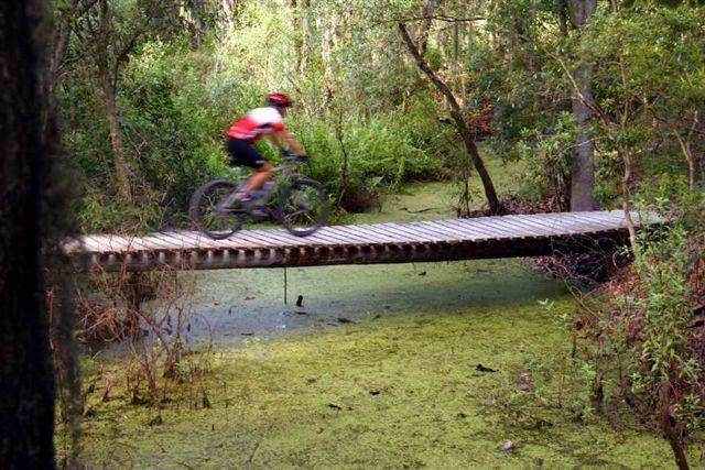 A cyclist riding a mountain bike across a wooden bridge over a body of water covered in green algae, surrounded by lush trees and vegetation. Alafia River State Park mountain bike trail.