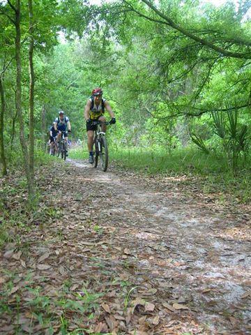 A group of mountain bikers riding along a dirt trail surrounded by lush greenery and trees, with fallen leaves on the ground. Alafia River State Park mountain bike trail.