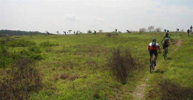 A group of mountain bikers riding along a grassy trail in a rural landscape, with more cyclists visible on a hill in the background under a cloudy sky. Alafia River State Park mountain bike trail.