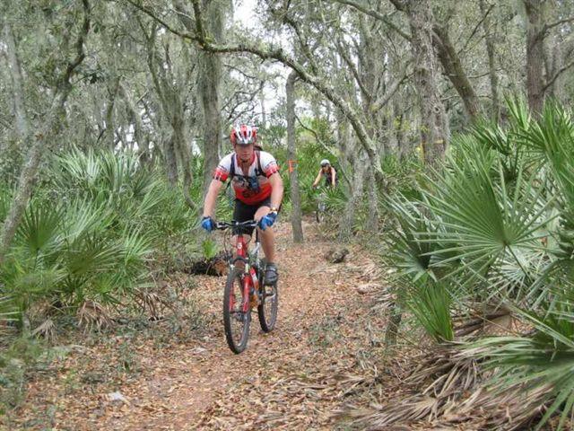 A person mountain biking on a narrow trail through a wooded area, surrounded by trees and lush greenery. Another cyclist can be seen in the background, navigating the path. The scene conveys an adventurous outdoor atmosphere. Alafia River State Park mountain bike trail.