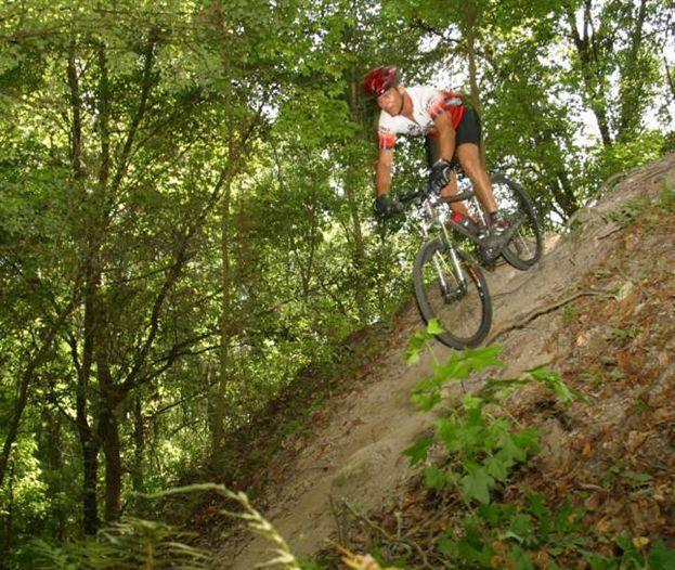 A mountain biker navigating a steep, sandy trail surrounded by lush green trees, demonstrating skill and balance while riding downhill. Alafia River State Park mountain bike trail.