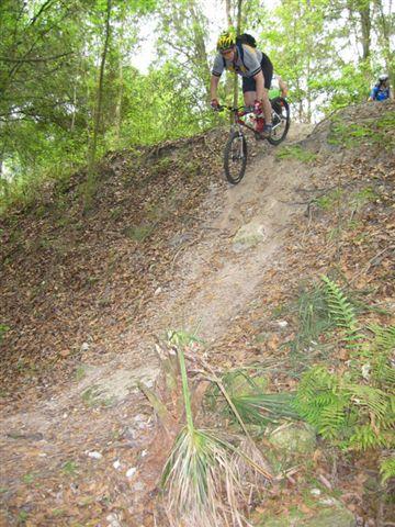 A mountain biker wearing a helmet and riding gear descends a steep, leaf-covered slope in a forested area, surrounded by trees and foliage. Alafia River State Park mountain bike trail.
