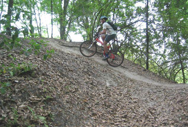 A person riding a mountain bike uphill on a dirt trail surrounded by trees, with a carpet of fallen leaves on the ground. Alafia River State Park mountain bike trail.