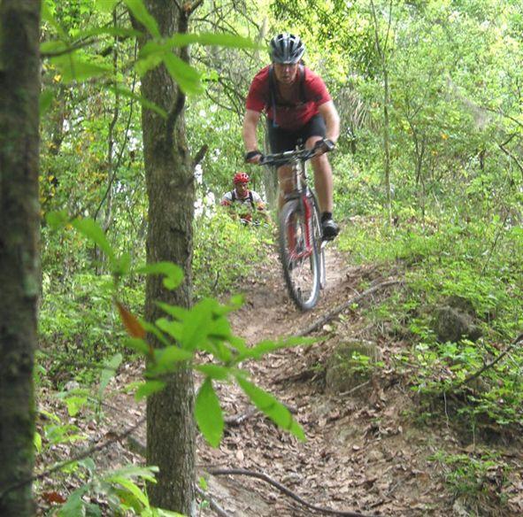 A mountain biker rides down a narrow trail surrounded by greenery, with a second cyclist visible in the background. The terrain is uneven with rocks and foliage, capturing an adventurous outdoor scene. Alafia River State Park mountain bike trail.