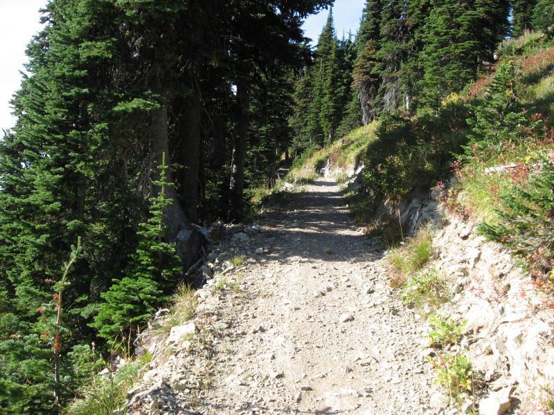 A narrow gravel trail winding through a forested area, bordered by tall evergreen trees on both sides. The path is surrounded by patches of colorful foliage and rocky outcrops, with sunlight filtering through the branches above. Whitefish Mountain Resort mountain bike trail.