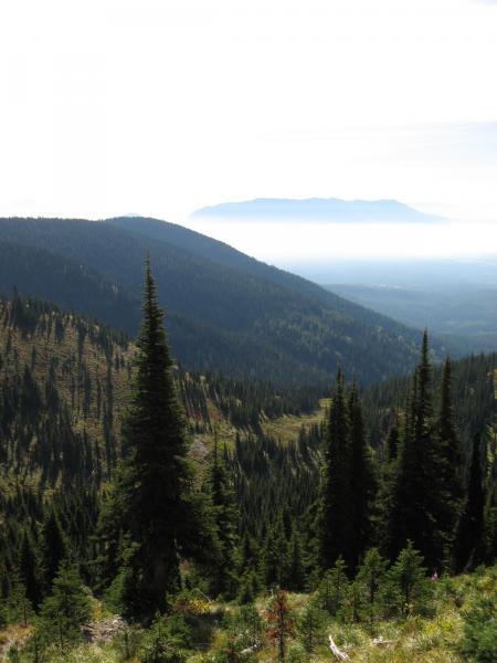A panoramic view of a mountainous landscape featuring dense evergreen forests and rolling hills. In the background, a layer of fog or clouds partially obscures the mountains, creating a serene and tranquil atmosphere. The scene captures the natural beauty of the outdoors, with varying shades of green and hints of distant peaks. Whitefish Mountain Resort mountain bike trail.