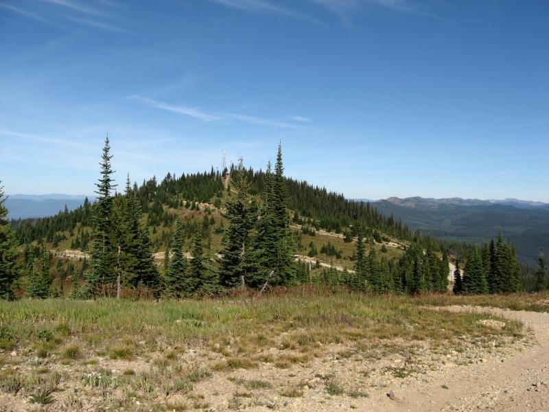 A scenic view of a mountainous landscape featuring a peak surrounded by dense evergreen trees. The clear blue sky above contrasts with the greenery, and a dirt trail winds through the foreground leading towards the hills. Whitefish Mountain Resort mountain bike trail.