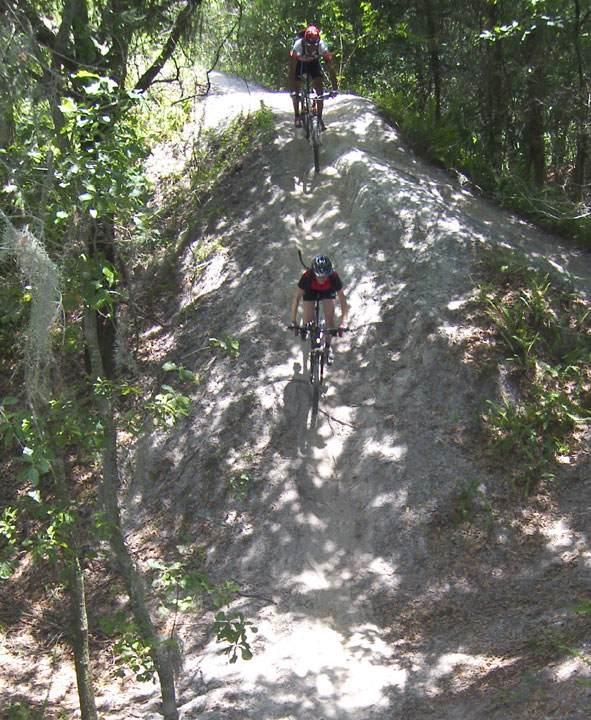 Two mountain bikers navigate a sandy trail surrounded by lush greenery. One cyclist ascends a ridge, while the other descends, showcasing the challenging terrain in a forested area. Sunlight filters through the trees, creating dappled patterns on the ground. Alafia River State Park mountain bike trail.