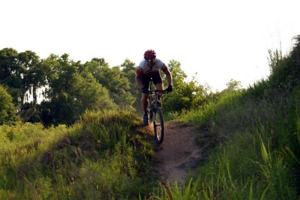 A mountain biker navigating a dirt trail on a hillside, leaning forward as they descend, with lush greenery and trees in the background. The scene is illuminated by bright sunlight, creating a dynamic outdoor atmosphere. Alafia River State Park mountain bike trail.