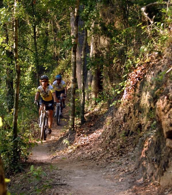 Two mountain bikers riding along a winding dirt trail in a wooded area, surrounded by trees and natural greenery. The sunlight filters through the leaves, creating a serene outdoor atmosphere. Alafia River State Park mountain bike trail.