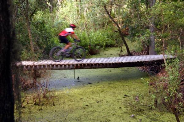 A mountain biker riding quickly over a wooden bridge in a lush green forest, surrounded by marshy water covered in algae. Trees and dense foliage line the path, creating a natural setting. Alafia River State Park mountain bike trail.