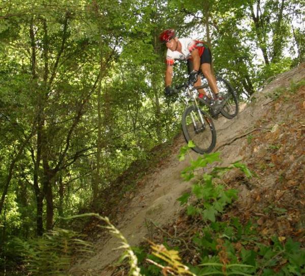 A mountain biker descending a steep, sandy trail with lush greenery surrounding the path. The cyclist is wearing a red helmet and a white and red jersey, focused on maintaining balance while navigating the terrain. Alafia River State Park mountain bike trail.