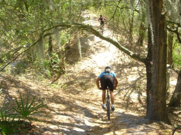 A mountain biker navigating a sandy trail surrounded by dense greenery and trees, with a second cyclist visible in the background. Sunlight filters through the leaves, creating a dappled effect on the path. Alafia River State Park mountain bike trail.