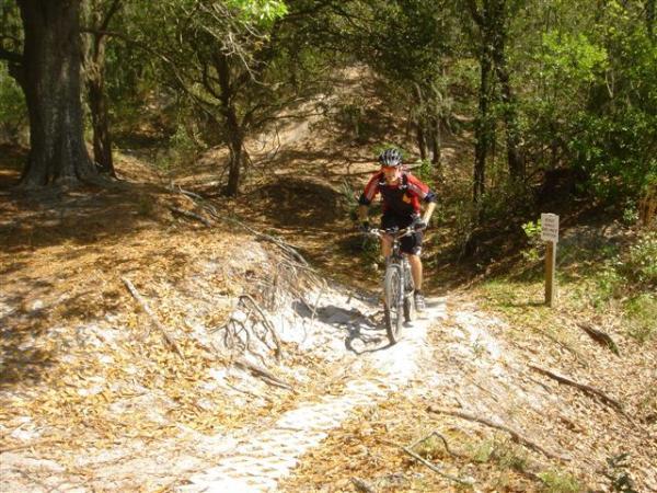 A mountain biker navigating a dirt trail surrounded by trees, with fallen leaves scattered on the ground. The rider is wearing a helmet and a red cycling jersey, giving a thumbs-up as they ride along the path. A trail sign can be seen in the background, indicating the outdoor setting. Alafia River State Park mountain bike trail.