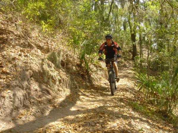 A mountain biker navigating a dirt trail surrounded by lush greenery and trees, riding over a path covered with fallen leaves. The cyclist is wearing a black and red jersey, shorts, and a helmet. Alafia River State Park mountain bike trail.