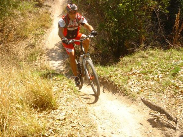 A cyclist wearing a helmet and athletic clothing navigates a dirt trail surrounded by greenery, showcasing a dynamic mountain biking scene. Alafia River State Park mountain bike trail.