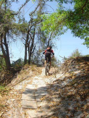 A person riding a mountain bike up a sandy trail surrounded by trees and greenery on a sunny day. The path features stone steps and is partially covered with fallen leaves. Alafia River State Park mountain bike trail.