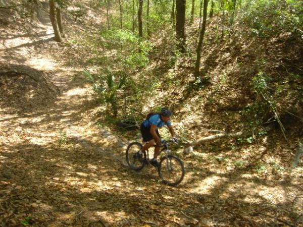 A mountain biker navigating a narrow trail covered in fallen leaves and surrounded by lush green trees in a forested area. Alafia River State Park mountain bike trail.