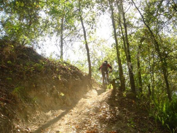 A cyclist riding up a dirt trail surrounded by trees, with sunlight filtering through the leaves, creating a dappled effect on the ground. The trail is steep and dusty, showcasing the challenges of mountain biking in a natural setting. Alafia River State Park mountain bike trail.