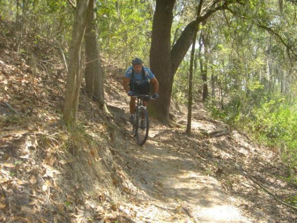A cyclist rides a mountain bike along a narrow dirt trail surrounded by trees and foliage. The scene captures the lush greenery of a forest area with sunlight filtering through the leaves, highlighting the challenging terrain. Alafia River State Park mountain bike trail.