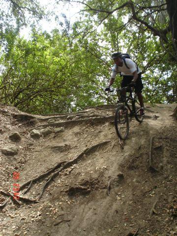 A mountain biker navigating a steep, rocky trail surrounded by lush greenery. The rider is leaning forward, focused on the path ahead as they descend over a rugged terrain with exposed roots and loose soil. Alafia River State Park mountain bike trail.