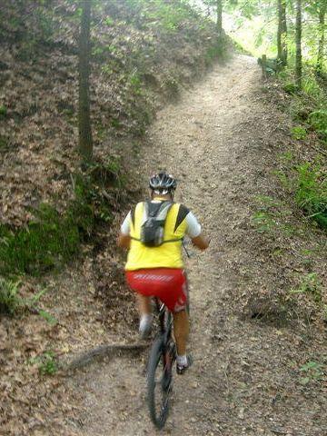 A person riding a mountain bike along a narrow dirt path surrounded by trees and foliage, with a steep incline ahead. The cyclist is wearing a yellow shirt and red shorts, and a backpack is visible on their back. Alafia River State Park mountain bike trail.