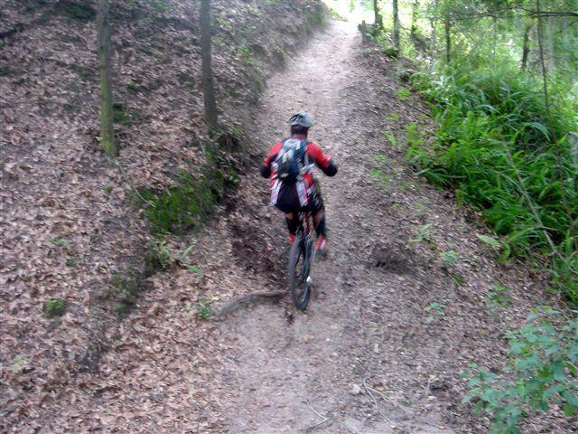 A mountain biker ascends a dirt path surrounded by trees and greenery. The trail is narrow and lined with fallen leaves, leading upward through a forested area. The cyclist is dressed in a red and black outfit, wearing a helmet and carrying a backpack. Alafia River State Park mountain bike trail.