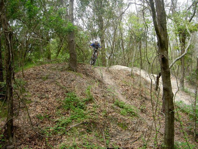 A mountain biker performing a jump on a trail through a wooded area, showcasing a gravel path surrounded by trees and greenery. Alafia River State Park mountain bike trail.