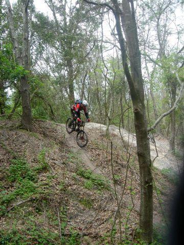 A mountain biker in red and black gear navigating a dirt trail through a wooded area, jumping off a small incline surrounded by trees and foliage. Alafia River State Park mountain bike trail.