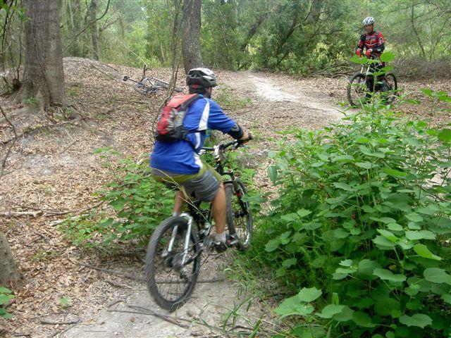Two mountain bikers navigate a winding dirt trail in a wooded area. One cyclist is riding away from the camera, wearing a blue and white jersey and a red backpack, while the other cyclist, dressed in red and black, is positioned on the trail ahead. Lush greenery surrounds the paths, and faint bike tracks are visible in the dirt. Alafia River State Park mountain bike trail.