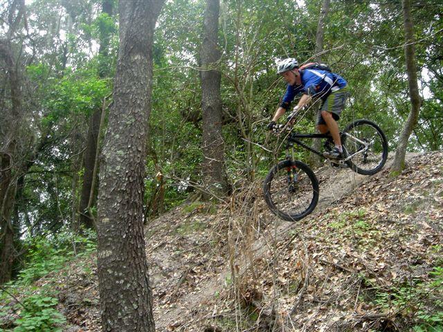 A person riding a mountain bike descends a steep, uneven trail surrounded by trees and foliage. The rider is wearing a helmet and blue cycling gear, focused on navigating the rugged terrain. Alafia River State Park mountain bike trail.