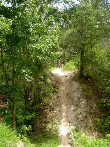 A narrow dirt path winding through a wooded area, surrounded by green foliage and trees. In the distance, a person is visible near the top of a small slope. The scene conveys a sense of nature and outdoor activity. Alafia River State Park mountain bike trail.