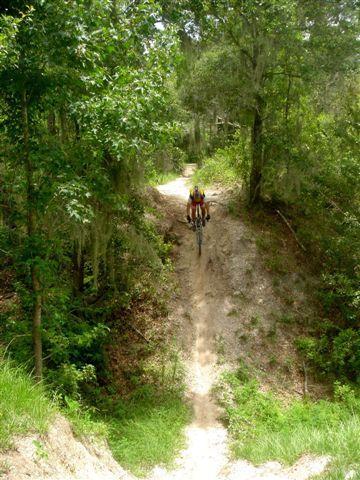 A mountain biker riding down a narrow dirt trail surrounded by lush green foliage and trees. The path is steep, with a mix of dirt and grass, while sunlight filters through the leaves above. Alafia River State Park mountain bike trail.