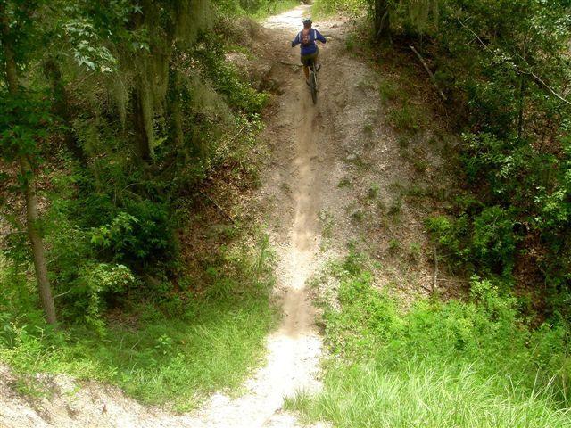 A mountain biker navigates a dirt trail descending through a wooded area, surrounded by greenery and trees. The path slopes downward, indicating a rugged terrain ideal for biking adventures. Alafia River State Park mountain bike trail.
