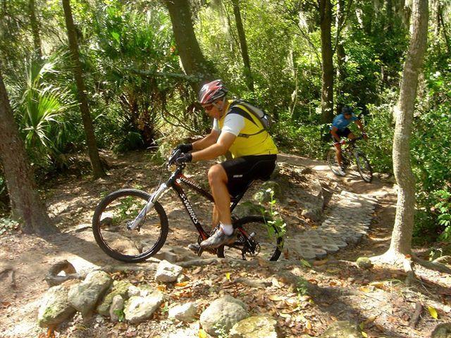 Two mountain bikers navigate a rocky, winding trail through a lush forest. The first rider, wearing a yellow shirt and a helmet, is climbing a rocky section of the path, while the second rider is visible in the background, also on a bike. The scene is surrounded by dense greenery, indicating a vibrant outdoor environment. Alafia River State Park mountain bike trail.