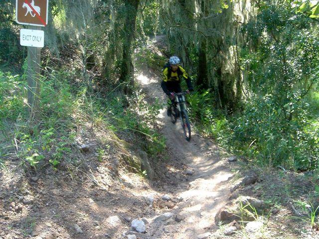 A mountain biker navigates a narrow dirt trail surrounded by lush greenery and trees. A sign indicating "Exit Only" is visible in the background. The trail features a rough surface with rocks and dirt patches. Alafia River State Park mountain bike trail.