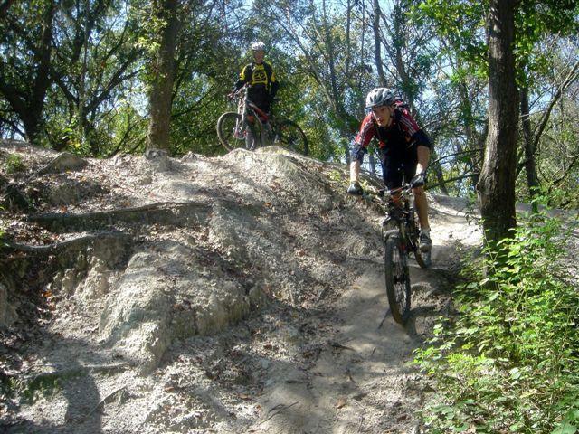 Two mountain bikers navigate a rugged trail in a wooded area. One rider is descending a sandy slope, while the other is positioned higher up the trail. The scene is surrounded by trees and underbrush, showcasing a natural outdoor environment. Alafia River State Park mountain bike trail.