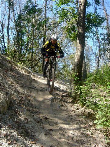 A mountain biker wearing a helmet and jersey navigates a dirt trail through a forested area, surrounded by trees and dappled sunlight. The rider is descending a slope, demonstrating skill and control on the uneven terrain. Alafia River State Park mountain bike trail.
