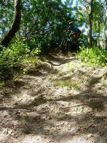 A mountain biker navigating a dirt trail surrounded by trees and greenery. The path is uneven and includes elevated sections, showcasing the challenge of the terrain. Natural sunlight filters through the leaves, highlighting the dust and foliage along the trail. Alafia River State Park mountain bike trail.